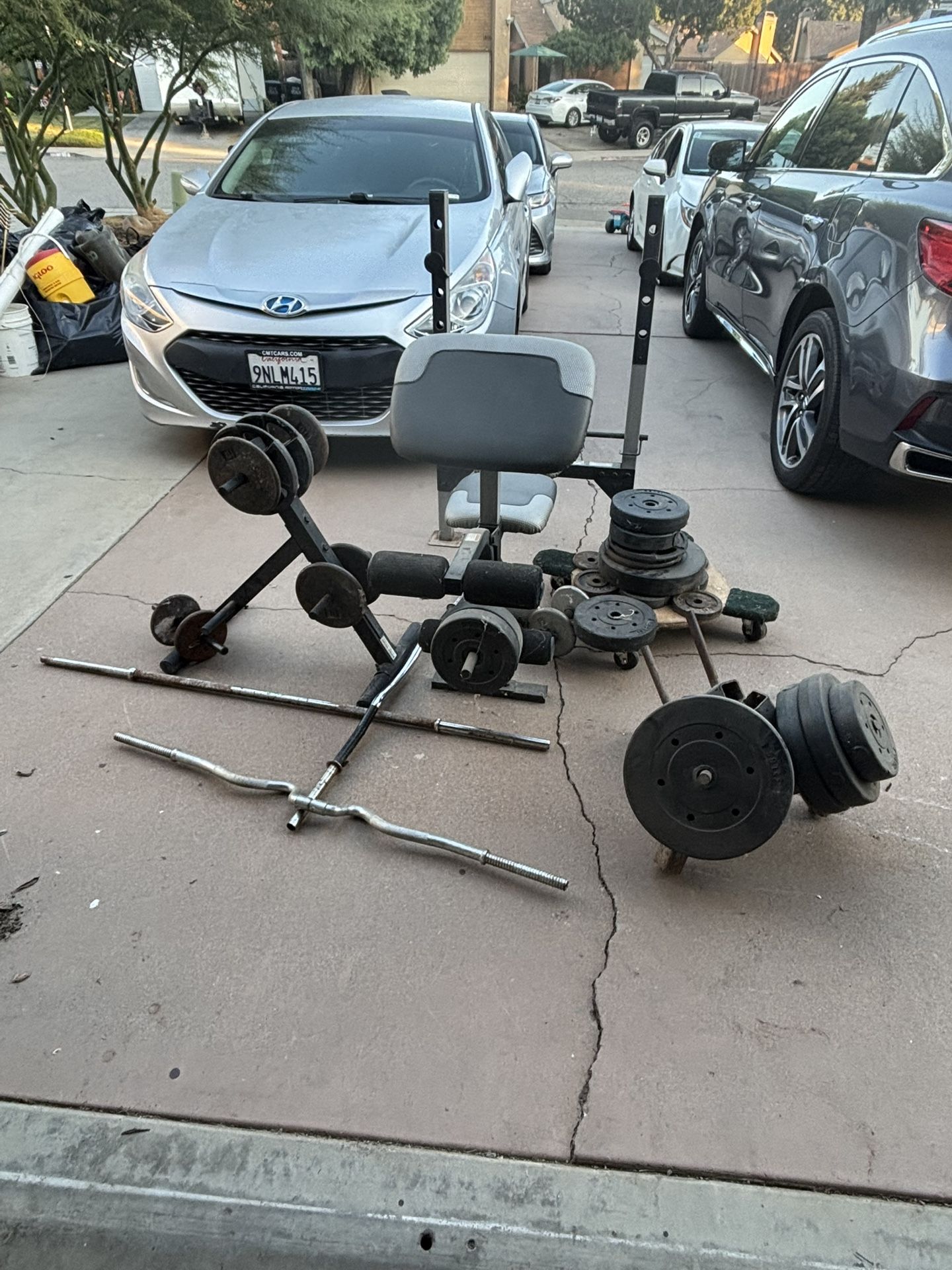 Workout Bench, weights, and bars