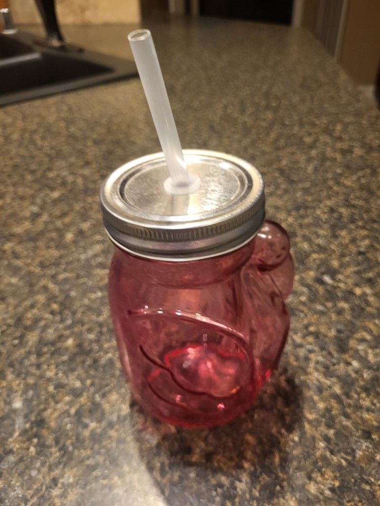 Pink toucan/flamingo Mason Jar mug with lid and straw