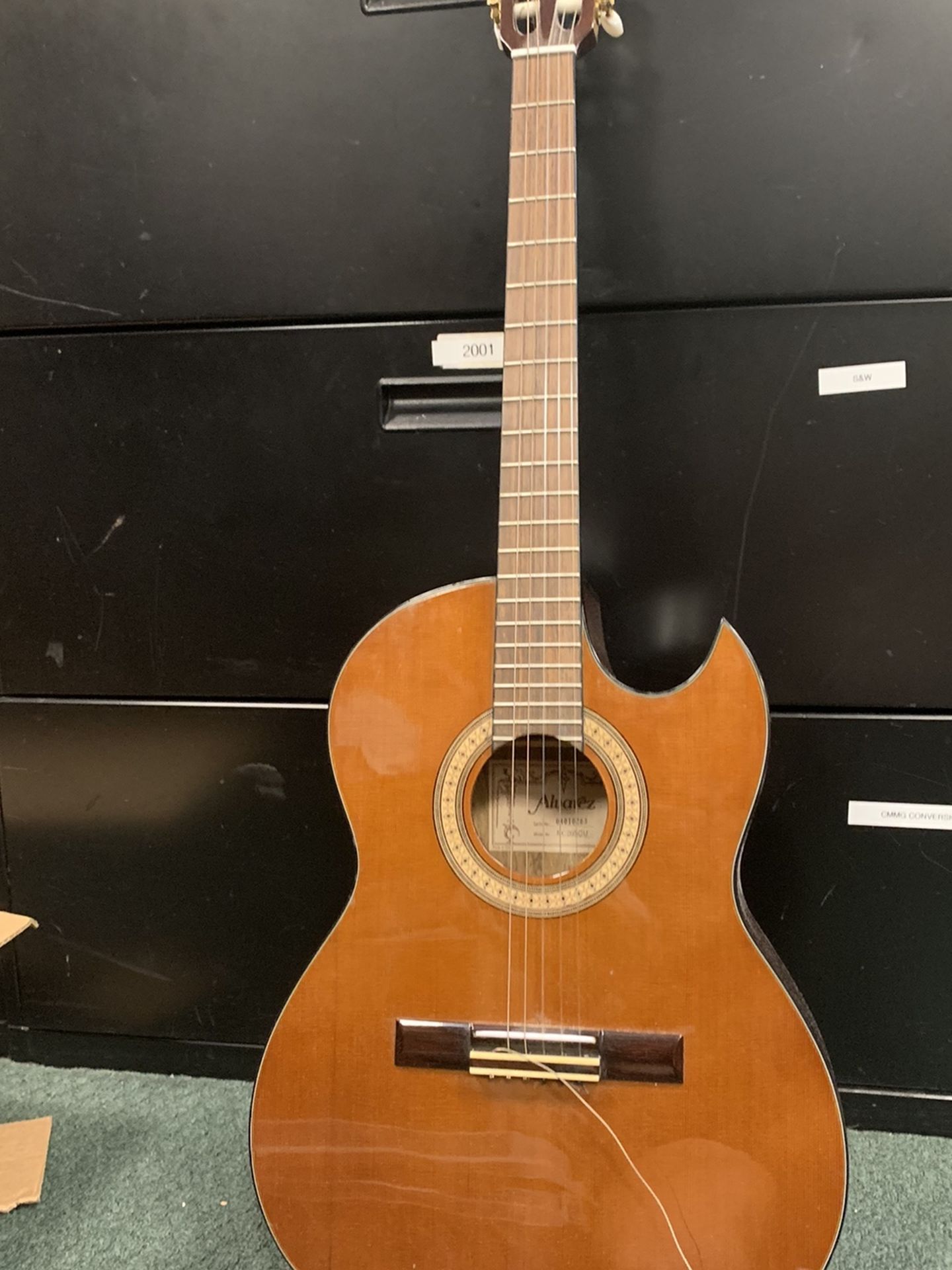 Acoustic / Electric Guitar
