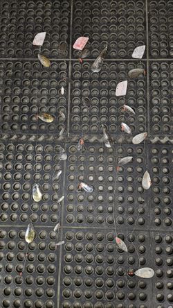 Assortment Of Gang Trolls for fishing 