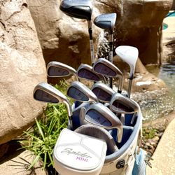 14PC LADIES TAYLORMADE FULL GOLF CLUBS SET IRONS WOODS PUTTER BAG LOOK