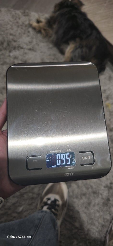Scale