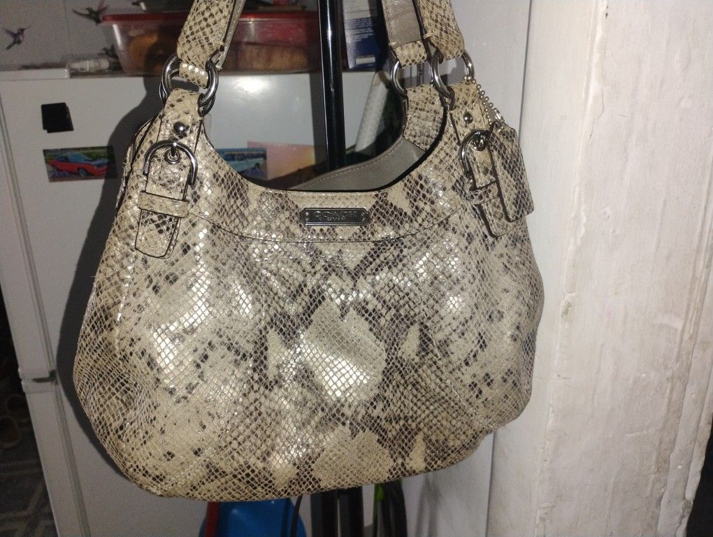 Rattlesnake Snakeskin Coach Purse
