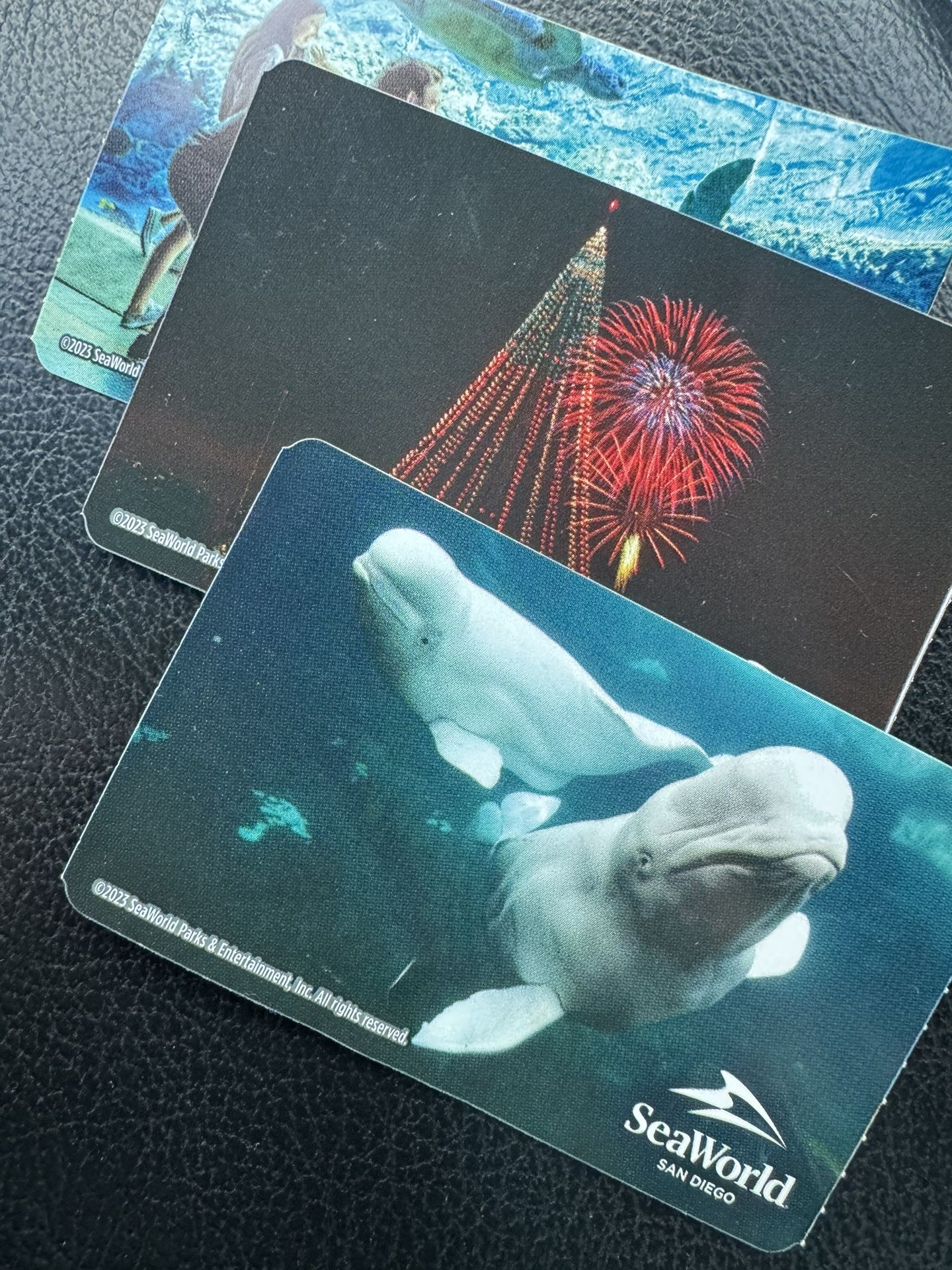 Seaworld Halloween Tickets (3)