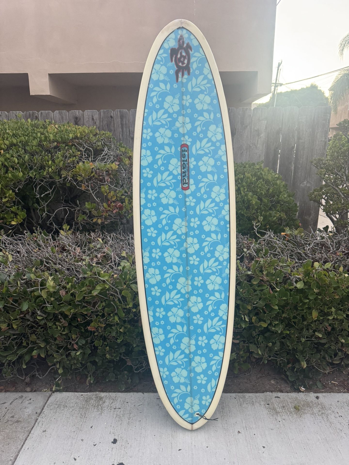 7ft Surfboard Eggshape