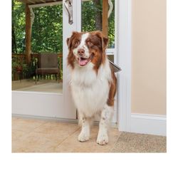 Dog Sliding Door