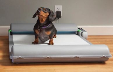 BrilliantPad indoor dog potty trainer