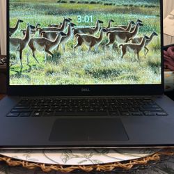 Dell XPS 15 9570 Intel Core i7 8570H 15.6 In 512 gb Nvidia GeForce 1050Ti Windows 11 Pro