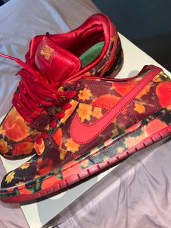 SB Dunks Wizard of oz