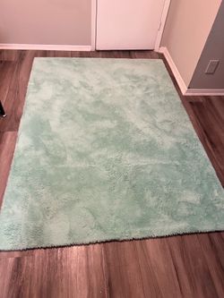 5x7Area Rug Mint Green