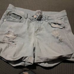 Women's Refuge Shorts