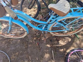 beach cruiser