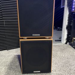 Rockville Rock Shaker 8inch” Classic Wood | Subwoofer