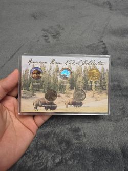 American Bison Nickel Collection Set