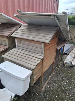Chicken Coops