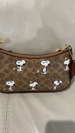 Snoopy bag