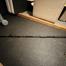 Abu Garcia Salmon Fishing Rod