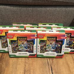 Ascended Heroes First Partner Illustration Collection