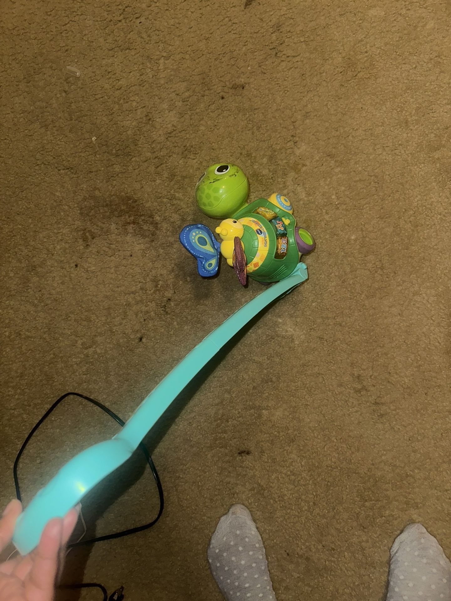 Turtle Toy