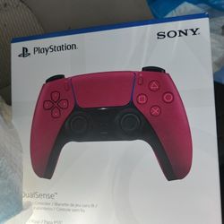 PS5 Controller