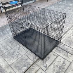 Big Dog Kennel
