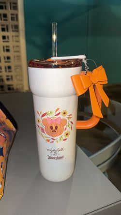 Brand new newly released Starbucks Disneyland stainless steel tumbler