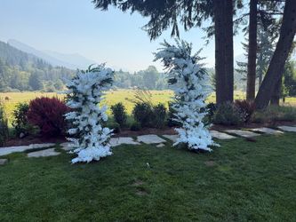 White Rose Wedding Arch