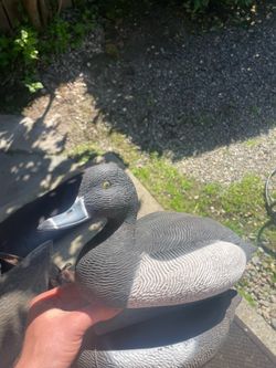 Duck decoys