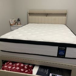 Queen Bed And Bed  Frame With 3 Side Drawers  And  2 Level Shelve  On The Headboard 