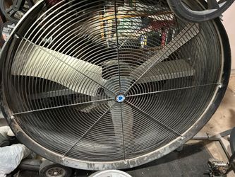 Big fan