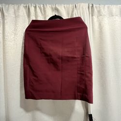 Express Skirt Size 8