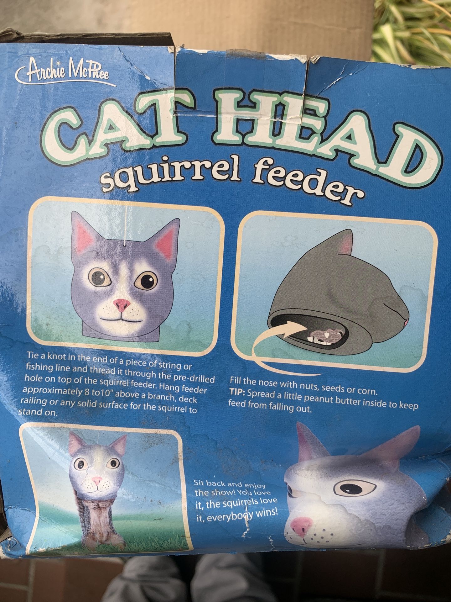 Cat head squirrel outlet feeder