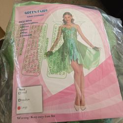 Green Fairy Costume 