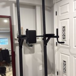 Pull Up / Dip Station