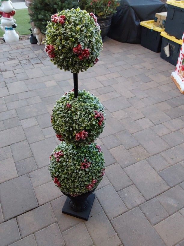 Topiary Tree