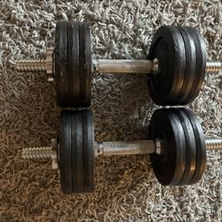 Adjustable Dumbbells