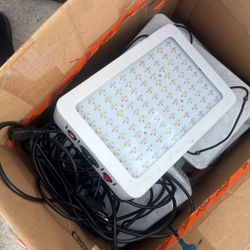 Plant Grow Light