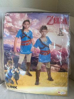 Zelda Breath of the Wild Link costume