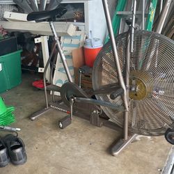 Vintage Schwinn Airbike Dual Mode