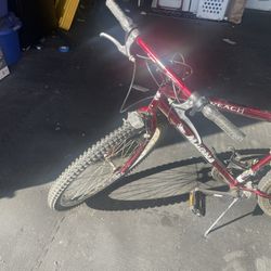 Men’s Adult Mountain Bike