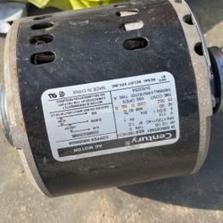 Cooler Motor