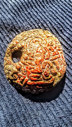 Aztec Spondylus Shell