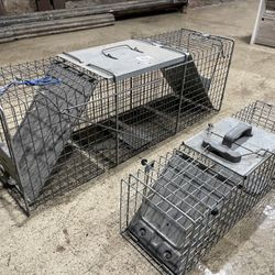 Raccoon And Squirrel Traps $50
