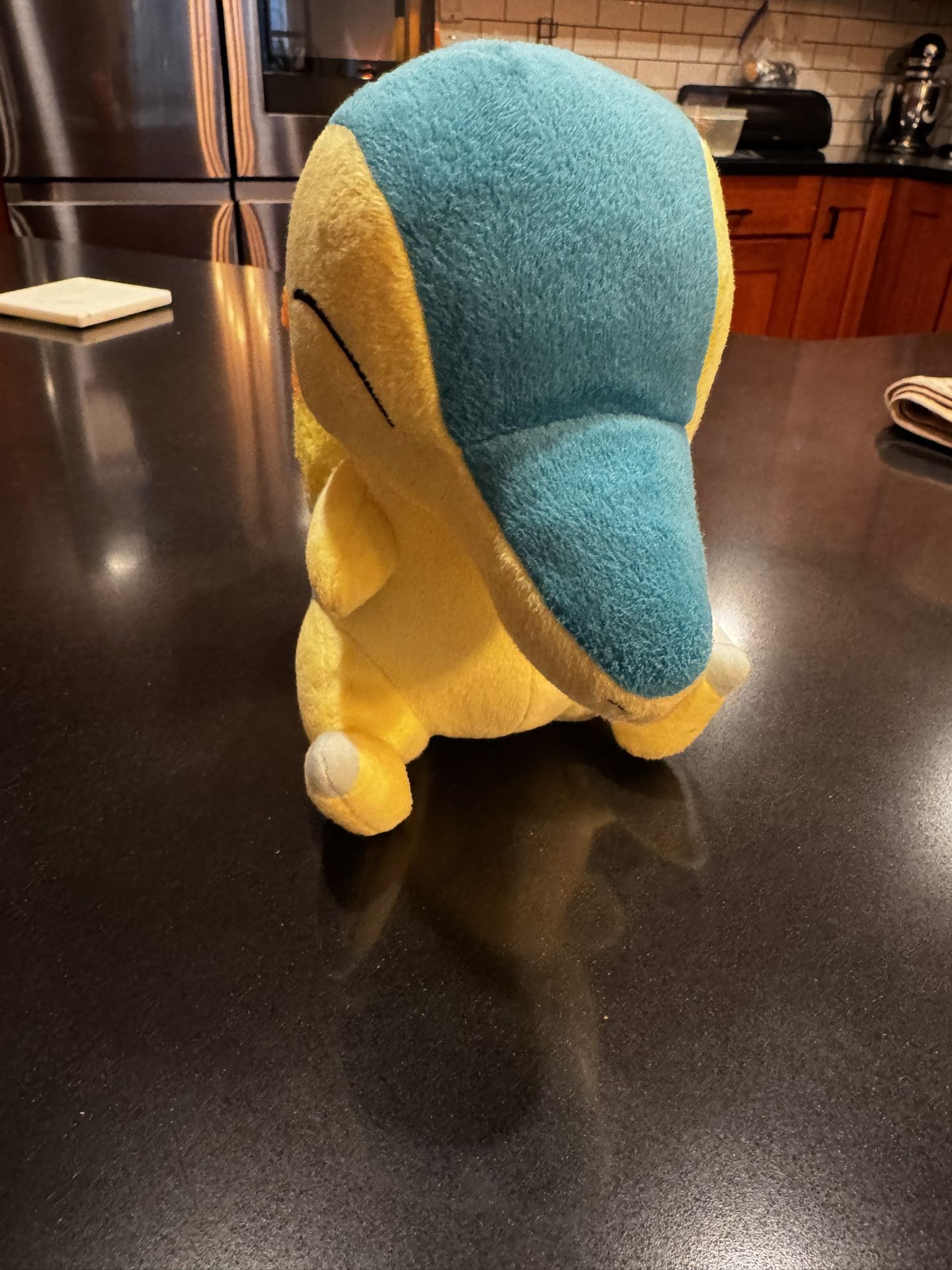 Cyndaquil From Tokyo 