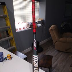 Marucci Cat X 31" Drop 11 20 Once Bat