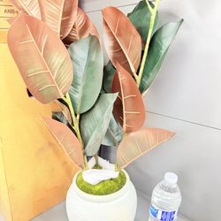 Medium Artificial Rubber Plant in Ceramic Pot Purple - Threshold Studio McGee