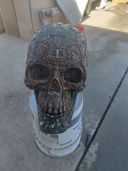 Skull