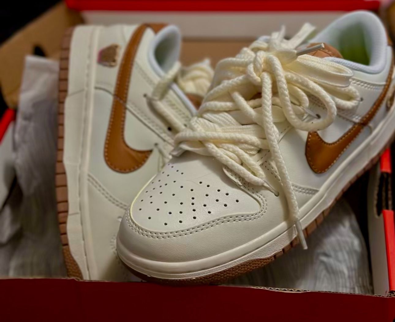 NIKE DUNKS TEDDY BEAR 🧸