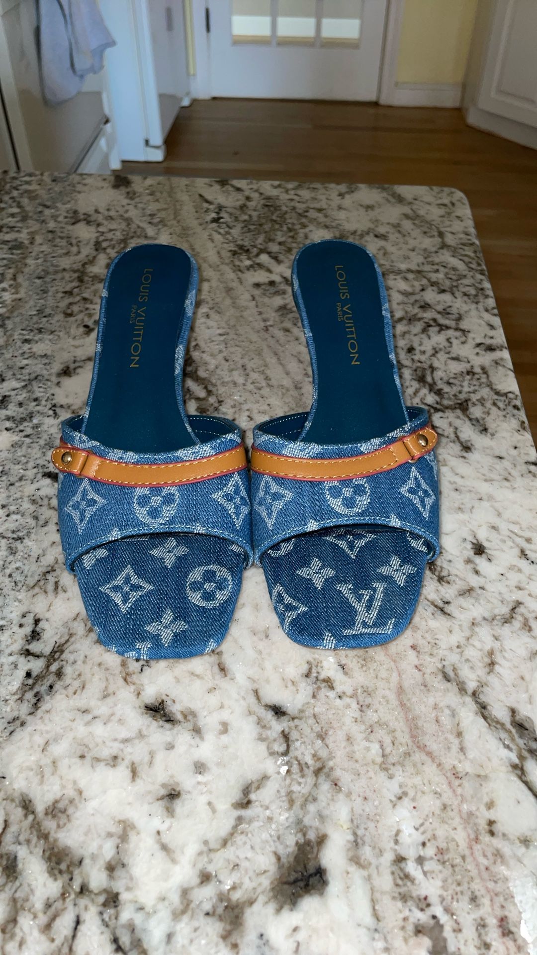 Louis Vuitton Denim 