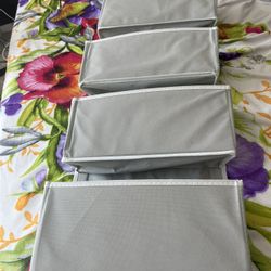 Shoe/accessory Organizer 